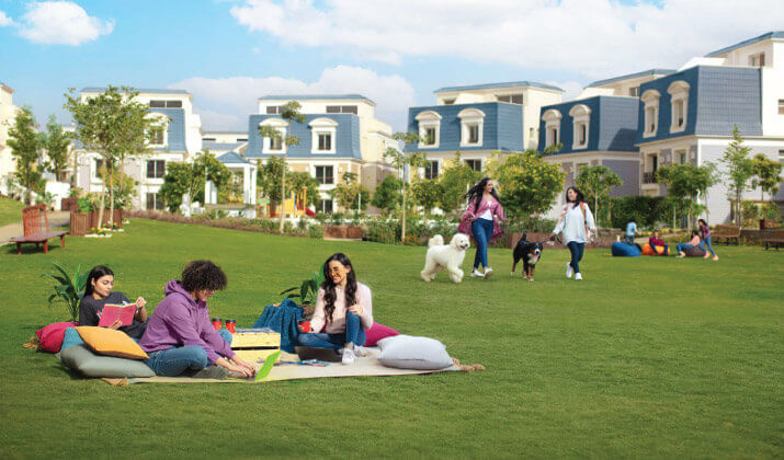 Total area of Chillout Park