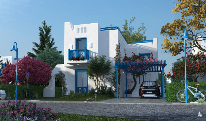 mountain view north coast reviews