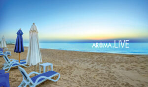 aroma el sokhna