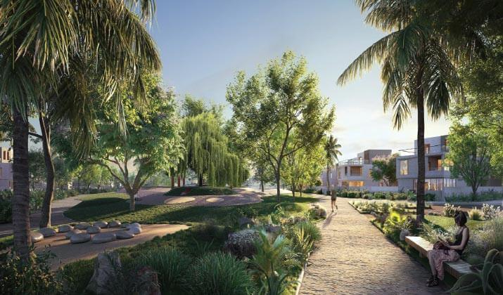 VYE Sodic Sheikh Zayed