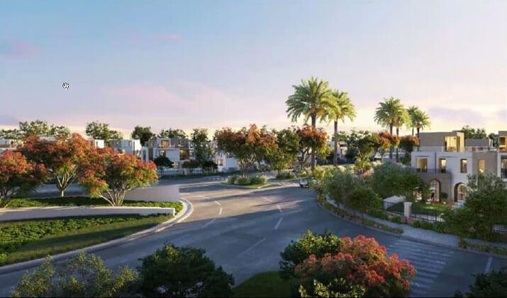 VYE Sodic Sheikh Zayed