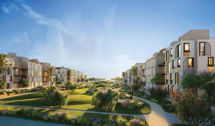 VYE Sodic Sheikh Zayed