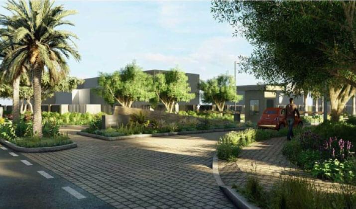 VYE Sodic Sheikh Zayed