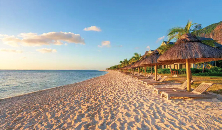 Details About Sequoia North Coast