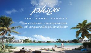 Plage Mountain View North Coast