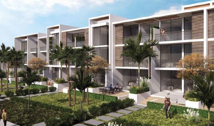 S Bay Sidi Henish Prices