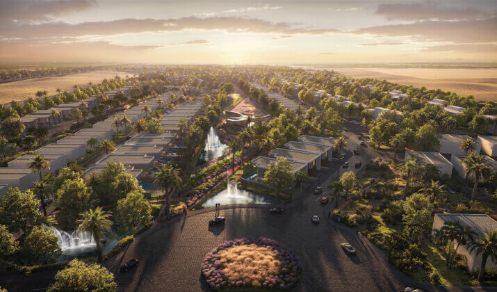 Kinz New Zayed