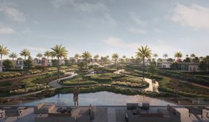 Prices and Spaces of Kinz New Zayed Compound