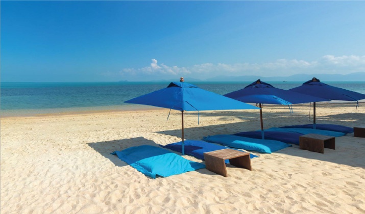 اهم المعلومات عن العين السخنة والجلالة