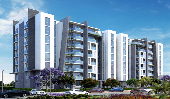 مشروع بوكا العاصمة الإدارية الجديدة