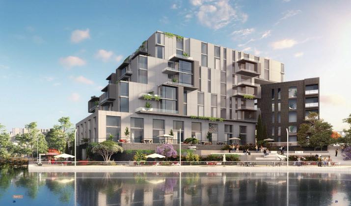 مشروع 205 الشيخ زايد