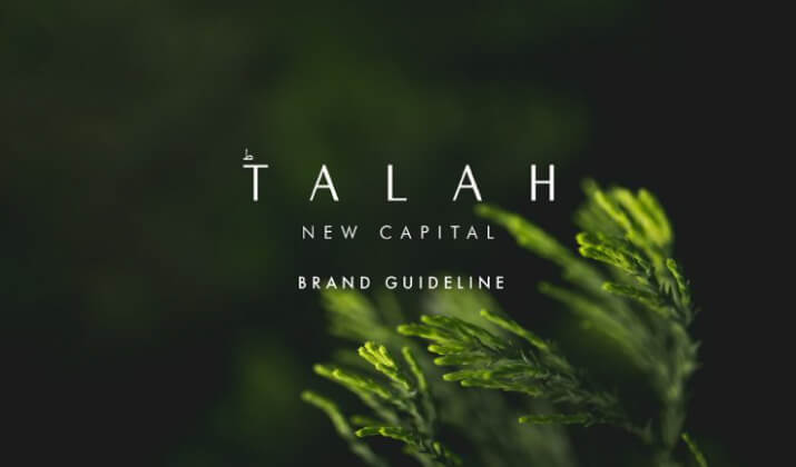 طلة العاصمة الادارية الجديدة Talah New Capital